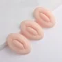Bouche Synthétique Maquillage Permanent - Skintrain