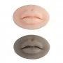 Bouche Synthétique Maquillage Permanent - Skintrain