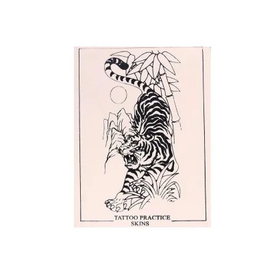 Pelle Sintetica Skintrain - Modello S3 - 14 x 19cm