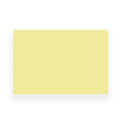 Pelle di allenamento XL Skintrain - 30x20cm